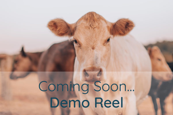 demo_reel_graphic.jpg
